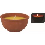 Emocio Citronella v terakotovém květináči 123 g – Zbozi.Blesk.cz