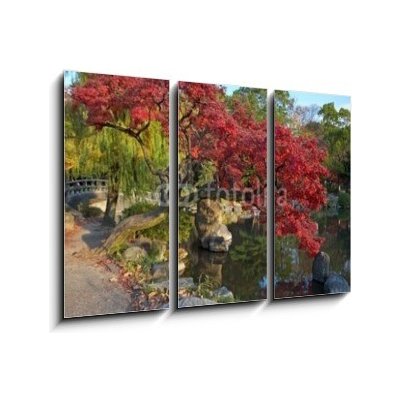 Obraz 3D třídílný - 105 x 70 cm - summer japanese landscape with pond and trees letní japonská krajina s rybníkem a stromy – Zboží Mobilmania