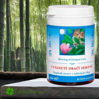 TCM Herbs Vyvanutí dračí jeskyně 100 tablet – Hledejceny.cz