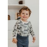 Dvouvrstvé merino body s bambusem dlouhý rukáv SAFA šedá kočka – Hledejceny.cz