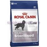 Royal Canin Maxi Adult Sterilised 3,5 kg – Hledejceny.cz