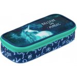 Karton P+P Pouzdro etue komfort Unicorn 1 – Sleviste.cz