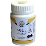 Salvia Paradise Maca peruánská 4:1 extrakt 40 g – Hledejceny.cz