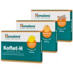 Himalaya Koflet H Ginger 12 pastilek – Hledejceny.cz