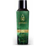 Giovani Koncentrovaný parfém na prádlo METALLIC GREEN 100 ml – Zboží Dáma