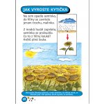 Martincová Jana: Říkačky pro chytré hlavičky Kniha – Zboží Dáma