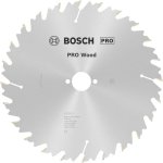 Bosch pilový kotouč Speedline Wood 250x30 24WZ – Sleviste.cz