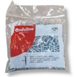 Onduline BARDOLINE Hřebík, 20 mm, ø 9 mm, 250 ks 702048CSP – Sleviste.cz