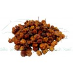 Koňské bylinky Jeřabina plod Sorbus aucuparia 1 kg – Hledejceny.cz