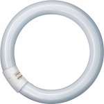 Osram Lumilux T9 Zářivka kruhová, 40 W, neutrální bílá L40/840C – Hledejceny.cz