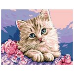 Norimpex Diamantové malování Kočičí oči 30 x 40 cm – Hledejceny.cz