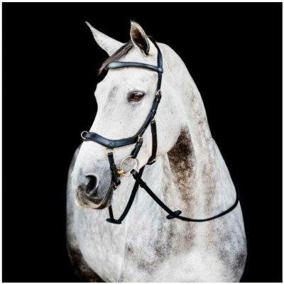HORSEWARE Micklem Multi Bridle 2 black – Zboží Dáma