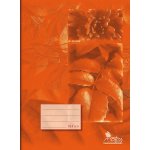 Notes Školní sešit A4 linkovaný Economy 424 – Sleviste.cz