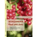 Schizandra Plod pěti živlů