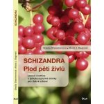 Schizandra Plod pěti živlů – Sleviste.cz