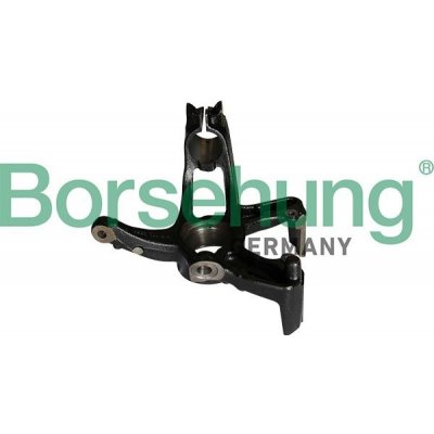 Čep nápravy, zavěšení kol BORSEHUNG B12113 | Zboží Auto