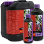 Atami B´cuzz Coco Bloom Stimulator 5 l – Hledejceny.cz