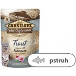 Carnilove Cat Pouch Trout Enriched & Echinacea 85 g – Zboží Mobilmania