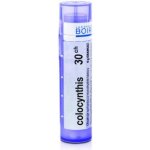 COLOCYNTHIS POR 30CH GRA 1X4G – Hledejceny.cz