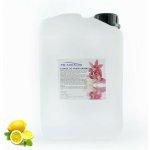 PM Aqualog esence do parních kabin citro-meduňka 930-003/D 3 l – Hledejceny.cz