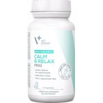 VetExpert Calm & Relax přípravek na příznaky stresu pro psy a kočky 30 kapslí – Zboží Mobilmania