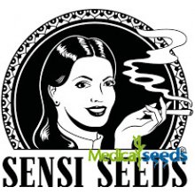 Sensi Seeds Banana Kush Cake Auto semena neobsahují THC 1 ks