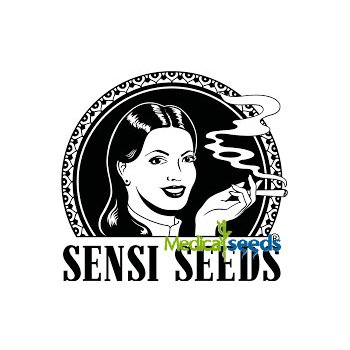 Sensi Seeds Banana Kush Cake Auto semena neobsahují THC 3 ks