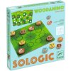 Výtvarné a kreativní sada Djeco Games Sologic Woodanimo