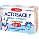Terezia Company Lactobacily + HLÍVA ÚSTŘIČNÁ s betaglukany FORTE 10 kapslí – Hledejceny.cz