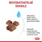 Royal Canin Mother & BabyCat 2 kg – Hledejceny.cz