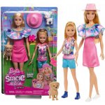 Barbie Stacie a Barbie 2-balení panenek HRM09 – Zboží Dáma