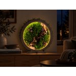 Li-Go "Mechové zátiší" lampa 30x31 cm provedení povrchu: dub – Hledejceny.cz