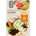 Admit Tea Lights Coconut-Vanilla 6 ks – Zboží Mobilmania