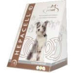 Dromy Hepacell 60 tbl – Hledejceny.cz