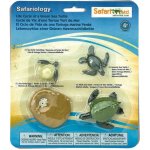 Safari Ltd. Životní cyklus - Mořská želva