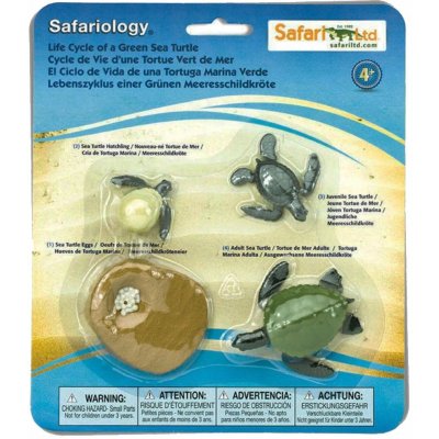 Safari Životní cyklus Mořská želva – Zboží Mobilmania