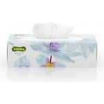 Paloma papírové kapesníčky bílé 3 -vrstvé 80 ks – Sleviste.cz