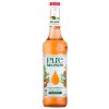 Šťáva Monin Pure Peach Apricot bez cukru 0,7