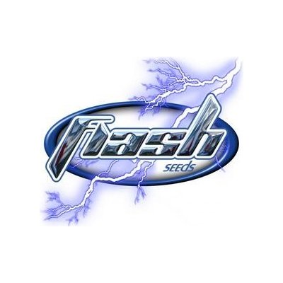 Flash Seeds Kush Van Stitch Auto semena neobsahují THC 3 ks