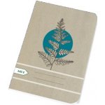 Papírny Brno Sešity školní ECONOMY A5 čtvereček 545 – Sleviste.cz