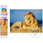 Norimpex Diamantový obrázek malování Lví majestát 30 x 40 cm – Hledejceny.cz