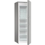 Gorenje FN619EES5