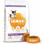 Iams Dog Puppy Small & Medium s kuřecím masem 12 kg – Hledejceny.cz