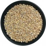 Profikoření Kroupy ječné 25 kg – Zboží Mobilmania