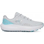 Under Armour Y Surge Golf Jr grey/blue – Hledejceny.cz