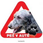Grel nálepka na plech pozor pes v autě irský vlkodav – Hledejceny.cz