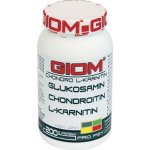 Giom Chondro L-karnitin 200 g – Hledejceny.cz