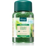 Kneipp sůl do koupele Mindful Forest 500 g – Hledejceny.cz