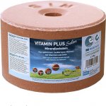 S.I.N.Hellas Vitamín plus selen minerální liz pro koně s organickým selenem a vitamíny 3 kg – Sleviste.cz