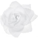 Květy růže bílé - přílepky na auto - 24 ks – Sleviste.cz